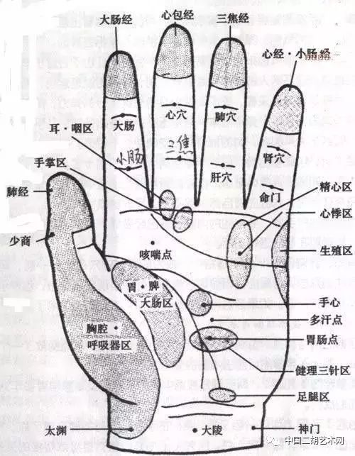 文章 二胡快乐手指操,二胡手指运动的养生功效_左手