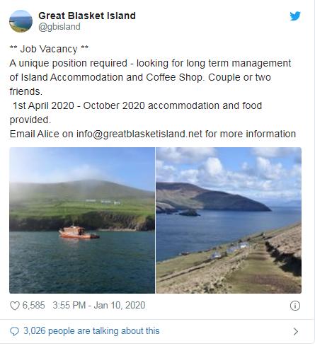 这座小岛没电也没网，却有2.3万人申请去工作