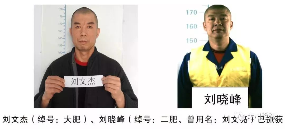 1,冯强案24人涉案