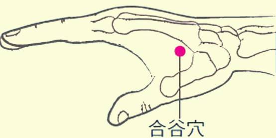 怎样快速缓解晕车 c0ee073810ad491dbdd7489a6a45ad87.jpeg
