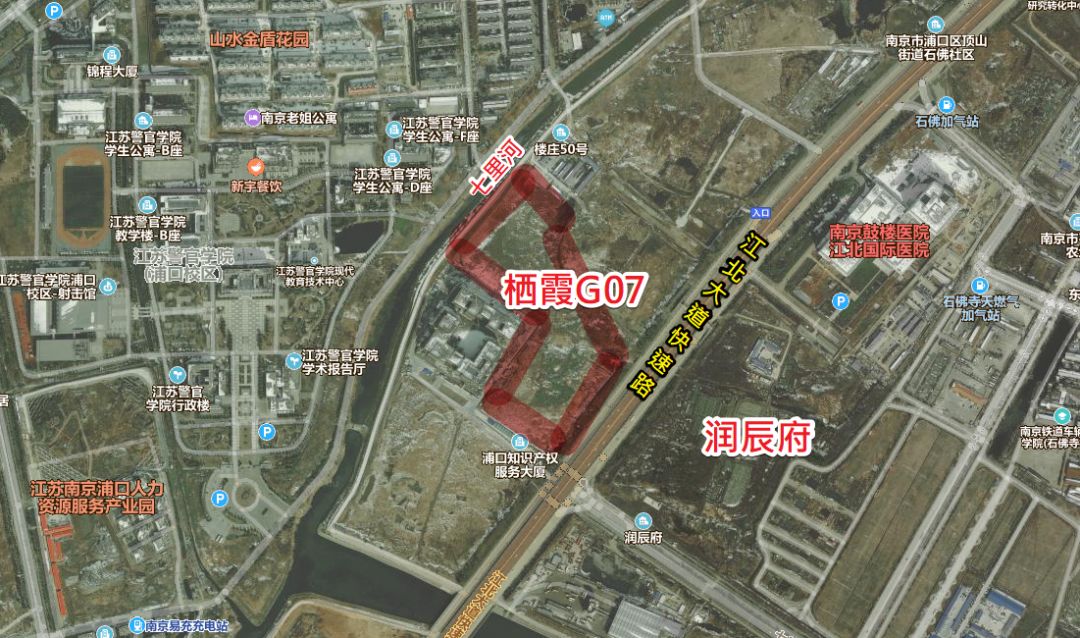南京市2020年上半年g_南京市健康证图片(3)