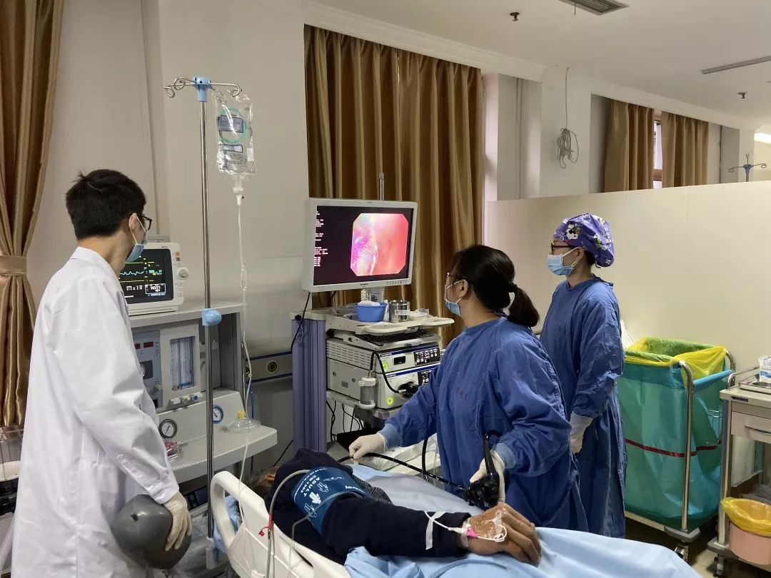 胃石是啥?胃里长了个大石头?