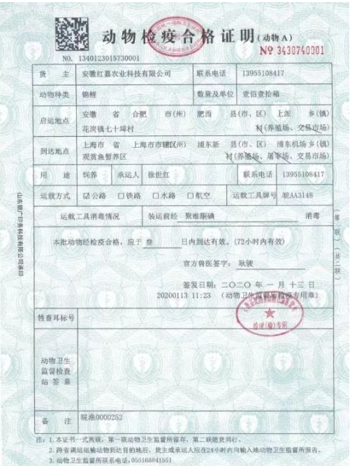 《动物检疫合格证明》,将通过公路运输到达上海市浦东机场观赏鱼暂养