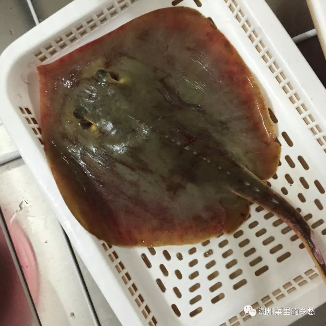 比较常见的赤魟(又叫黄魟,潮州菜的做法一般是斫块焖咸菜,口感颇似