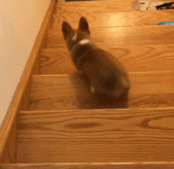1c06928cc4164eae86122bb7f26f0a2e.gif