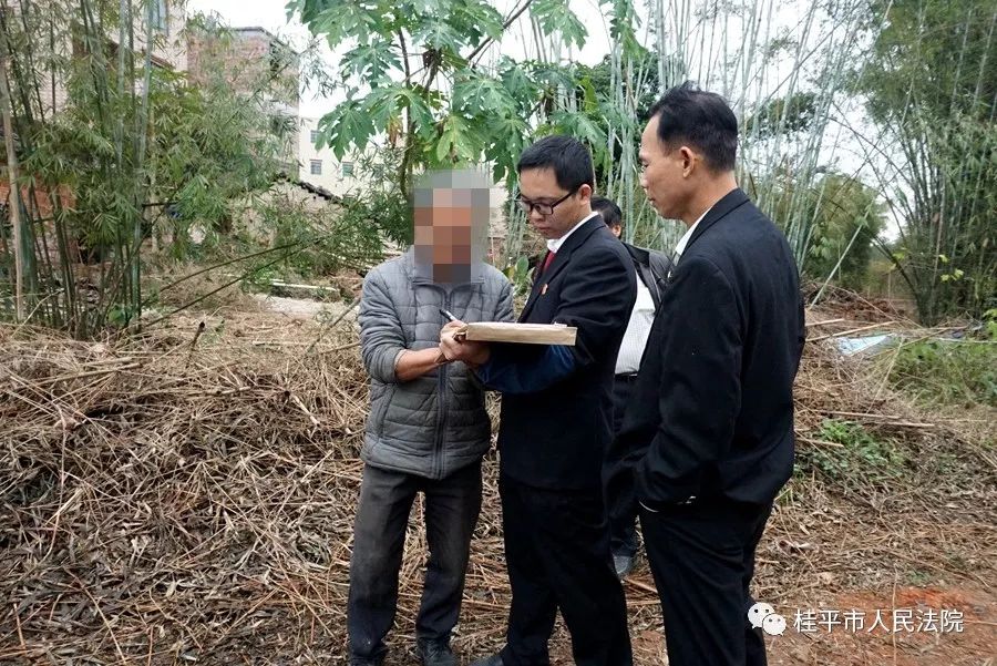 桂平金田:陈某侵占他人土地搭棚,被法院依法强制拆除!