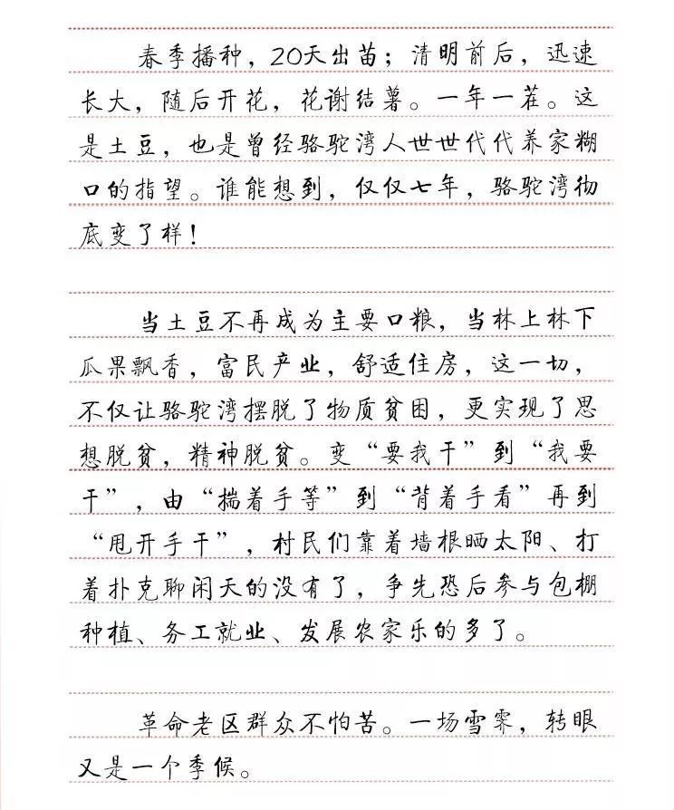 桐叶情简谱_桐叶(3)