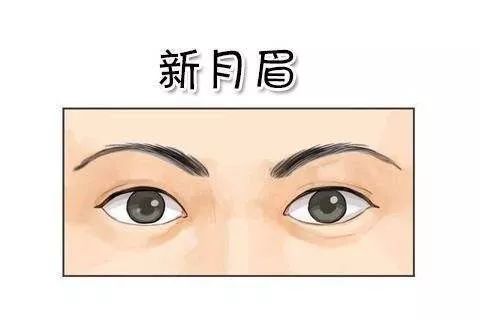 眉毛里长眉毛你长黑韵好不好
