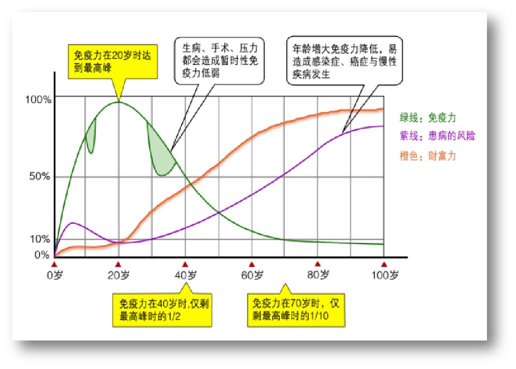 免疫细胞可提升你的免疫力提高你的防病抗病能力