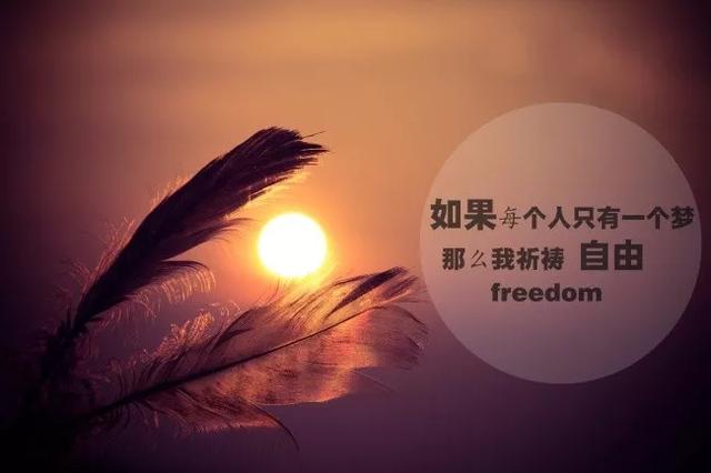 43b1d5f121a14aea9773ff19d211bc62.jpeg
