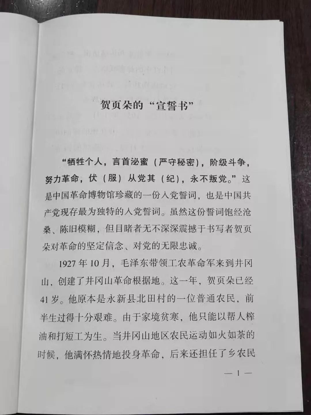 牵头打造了贺页朵誓词广场,龙源口支部学堂等一批红色教育培训基地.