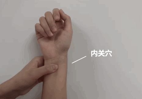 623f7f416d894cd39889594f3bb484cb.gif