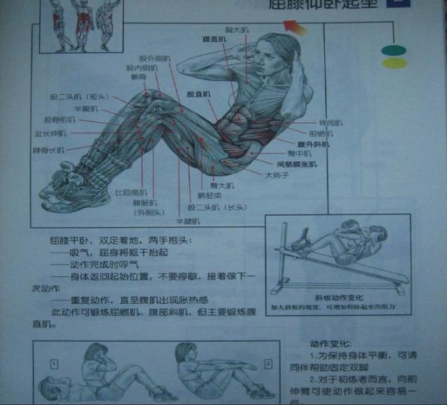 工作顺序由收腹开始用力,对腹肌的训练也能有很好的作用.