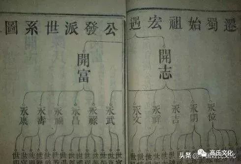 7b91e56a0e174c2199f4a65acff2a890.jpeg