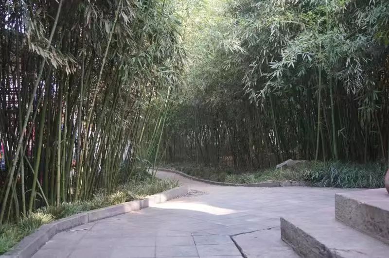 沛县多少人口_沛县风景