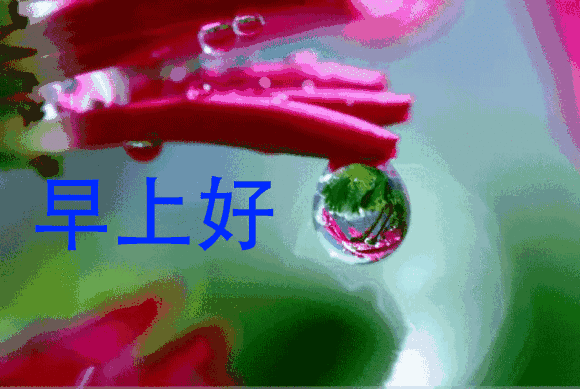 鼠年新添人口_新年新头像情侣鼠年(2)
