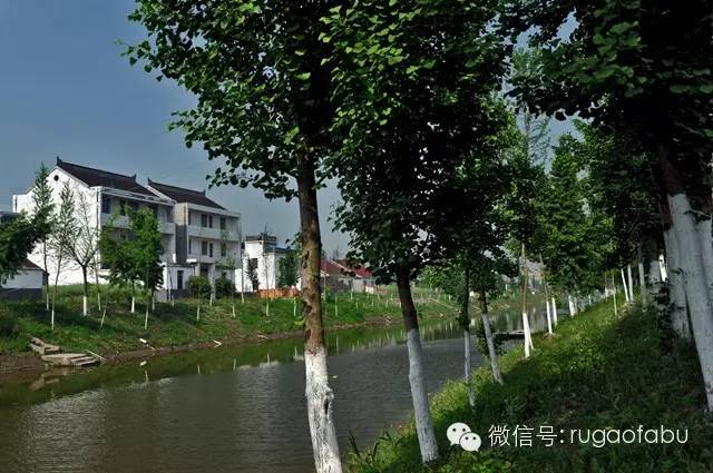 如皋这4个村庄被认定为第一批国家森林乡村!春节放假