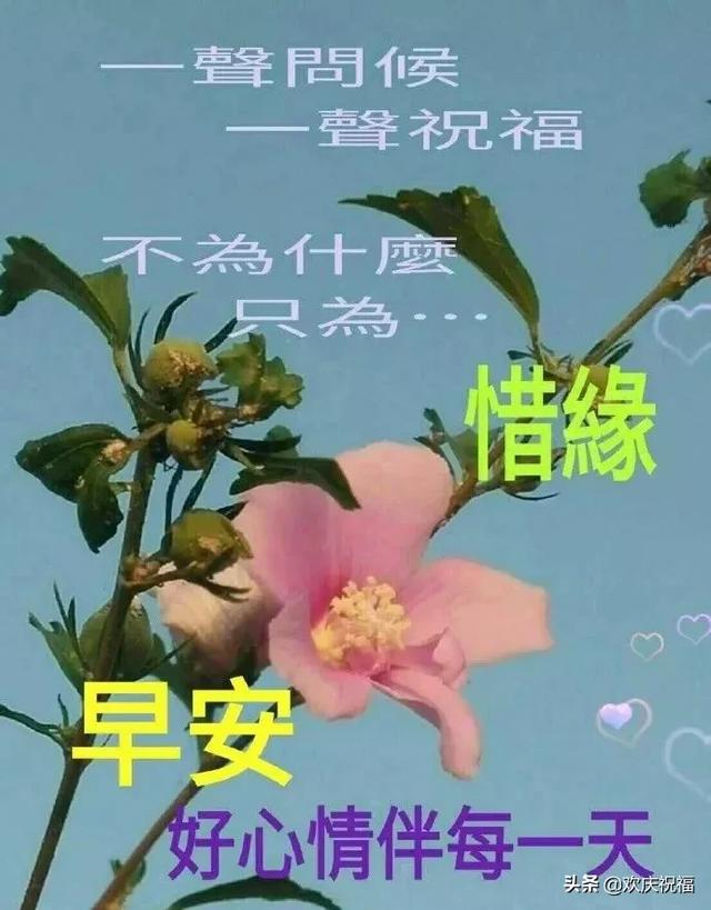 清早问候大家早上好的早安祝福语图片,最新早晨好问候祝福语短信