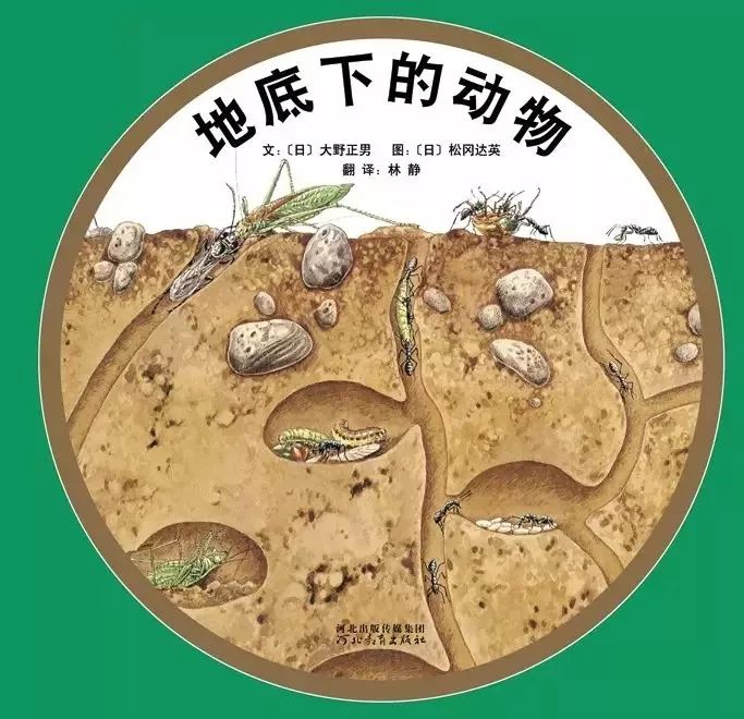 有声绘本:《地底下的动物》真实呈现了地下表层土壤中的自然生态