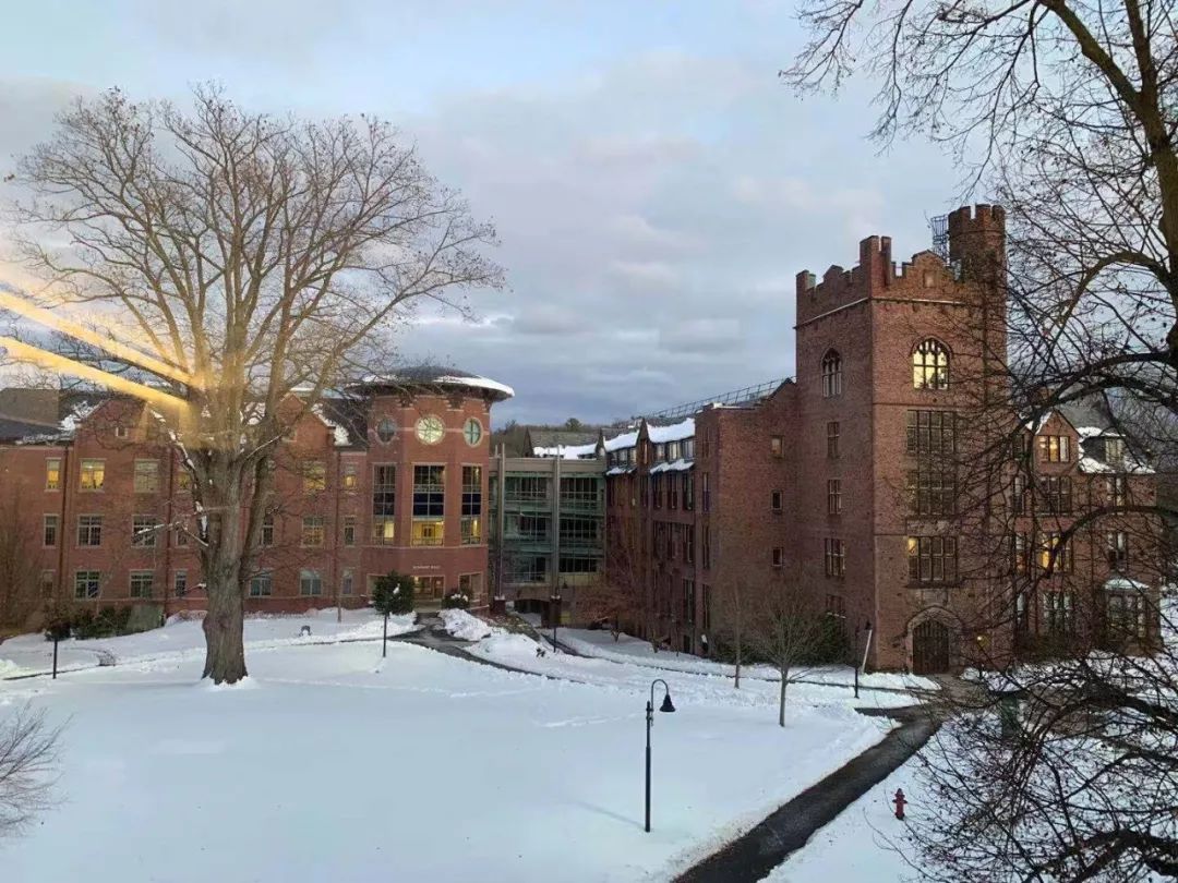 曼荷莲学院(mount holyoke college)坐落于麻省西部的小镇south