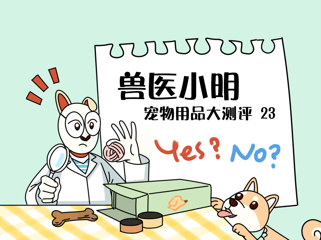 可以用什么来代替狗粮 a49503434bcc456bad89ae73945759df.jpeg