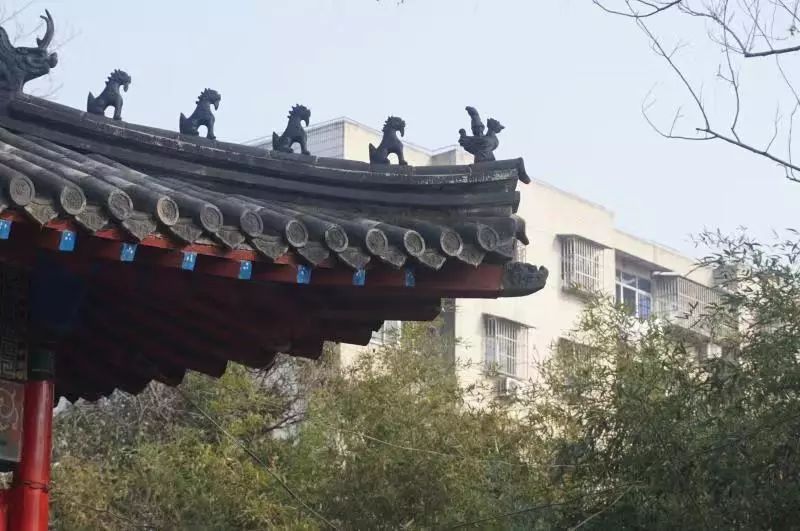 沛县多少人口_沛县风景