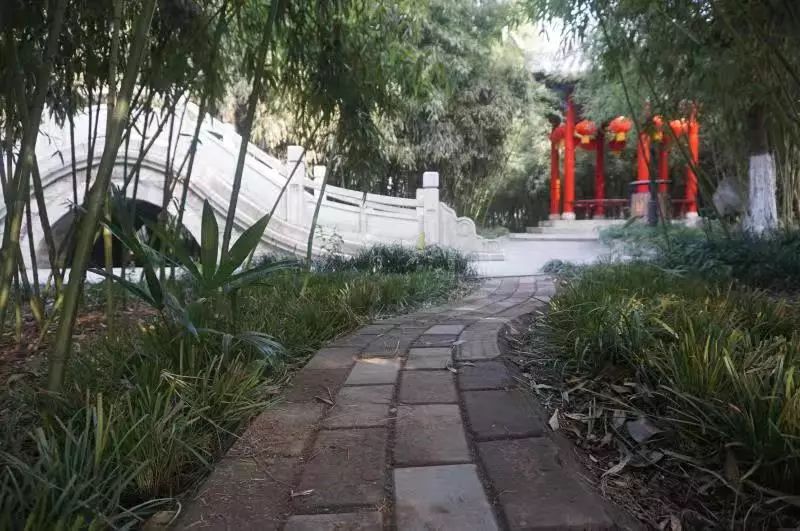 沛县人口多少人口_沛县风景(2)