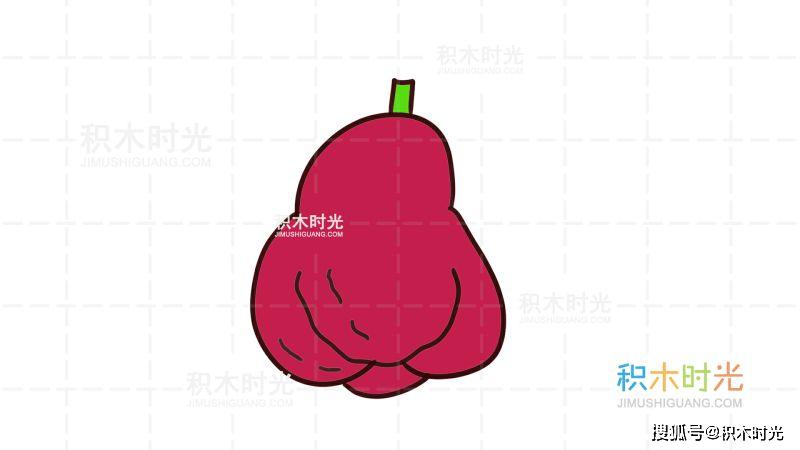 莲雾简笔画教程,画莲雾简笔,积木时光简笔画