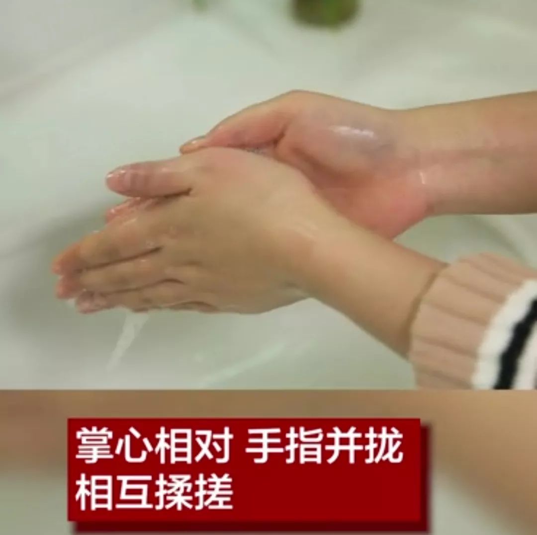 掌心相对 手指并拢 相互揉搓