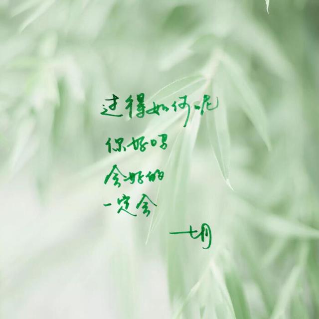 e40e3265643c434e82c813583ac3b867.jpeg