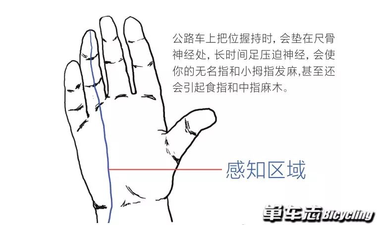e8f985a901cb427bb05d326520db8ee9.jpeg