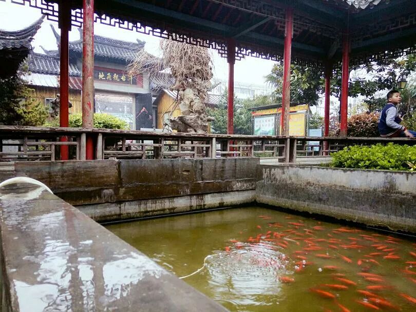 沛县人口多少人口_沛县风景(3)