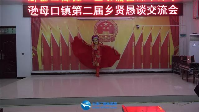 逊母口镇开展第二届乡贤恳谈交流会