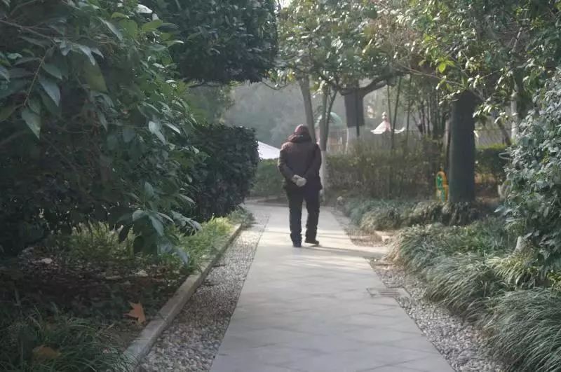 沛县多少人口_沛县风景