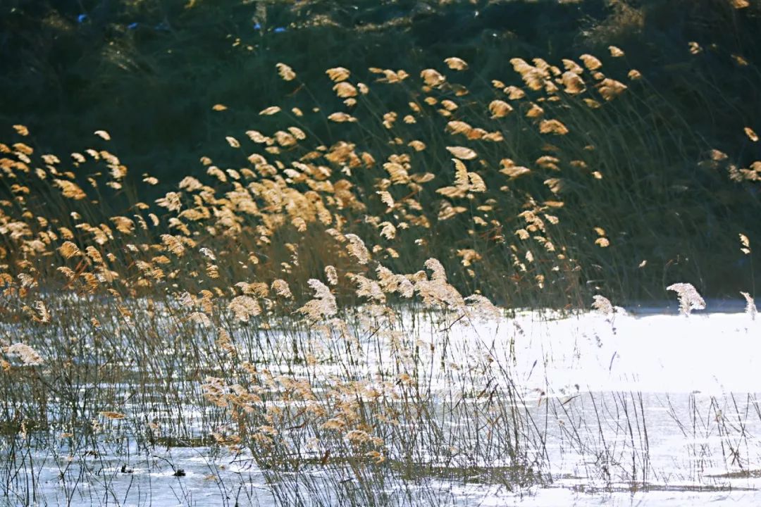 ef8f2866d6314aba8d7390e2e5b3617f.jpeg