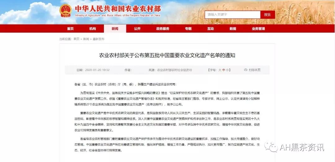 安化乌茶文明体系认定为中国主要农业文明遗产