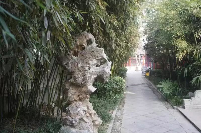 沛县多少人口_沛县风景