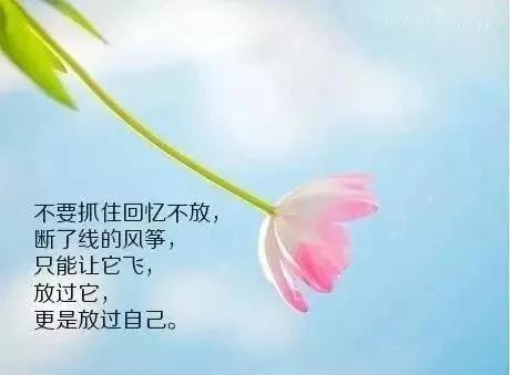 3d3ca3e3bf4e47feb4216a156846c032.jpeg
