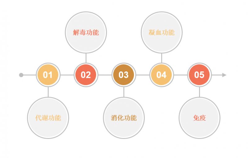 肝gdp700_中国gdp增长图(2)