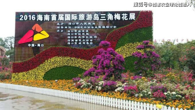 精品三角梅造型图片大全 46390f64877b4ba88ae6e4a6bb02aeec.jpeg