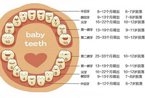 春龙和宝宝：气得发抖，6岁小孩一嘴烂牙，竟是家长多年的不作为