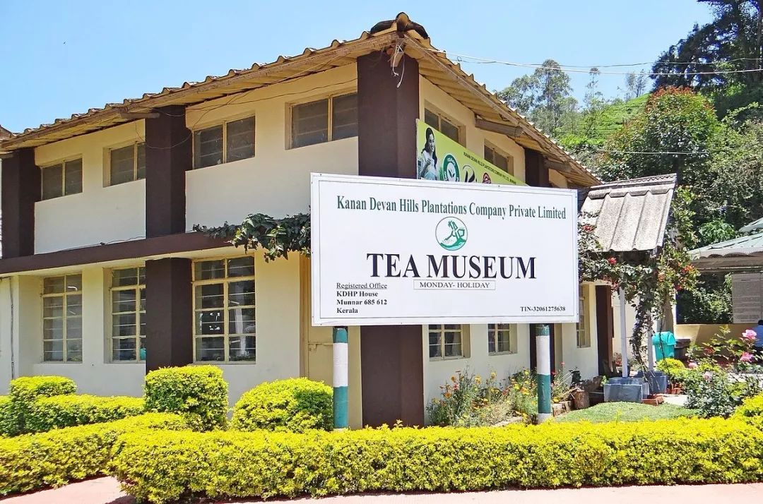 tea