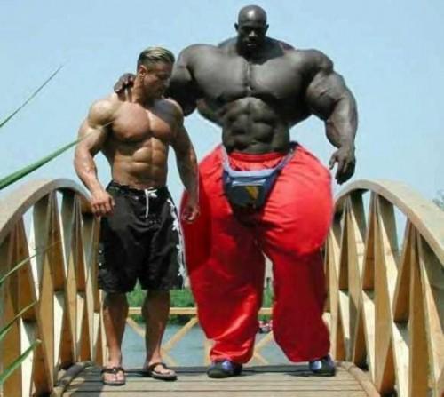 什么才叫做真正的肌肉 887316c7daae4023a58e39c228138520.jpeg