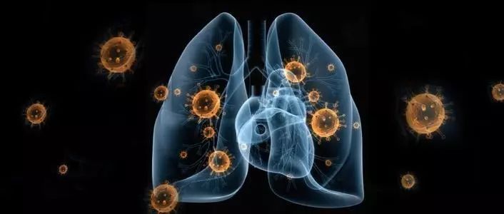 急性呼吸道感染是肺炎吗 964078d877b84e8caec4beba4e651bcf.jpeg