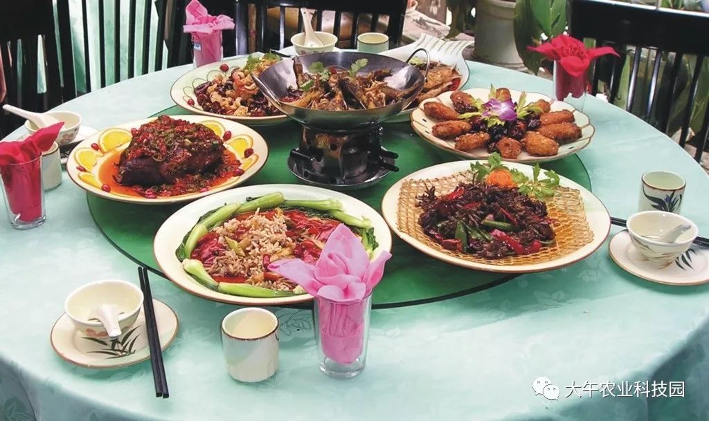 酒宴的美食 97a022251a094acd9b7504e6f8ed9e0e.jpeg