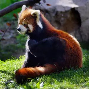 a27c2751dc5e457aa1ad6df8dcd71be6.jpeg