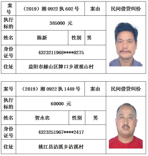 桃江人口排名_桃江竹海图片