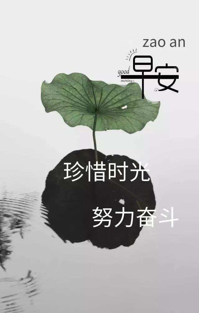 b5cfc7faf23d437da5f2f66415b1351a.jpeg