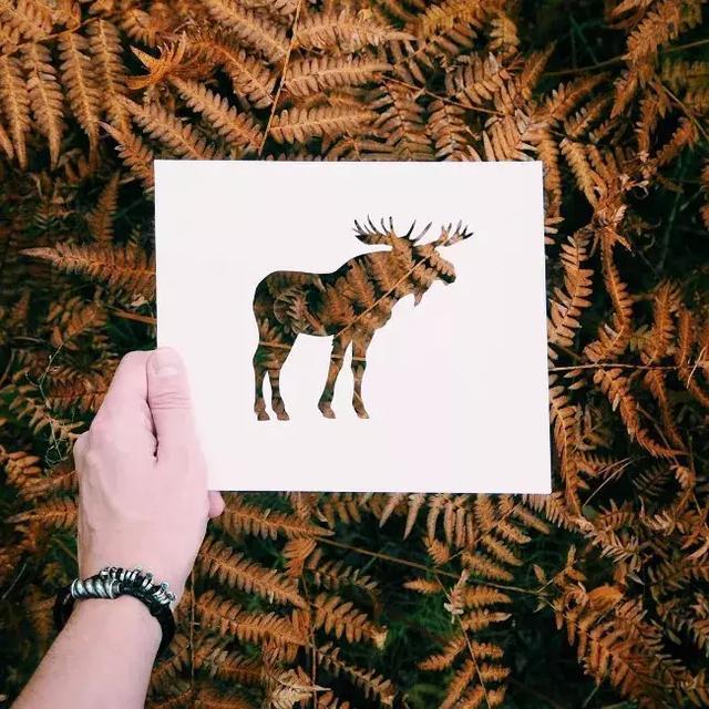 最美的呈现方式俄罗斯艺术家镂空动物剪纸艺术