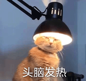 表情包,头脑发热比心给你,收到不想理你我好委屈